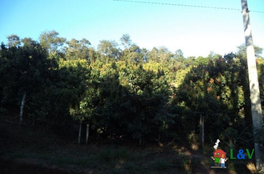 Terreno, 2 hectares - Foto 4