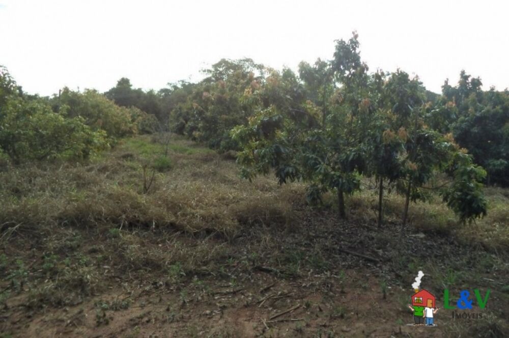 Terreno, 2 hectares - Foto 3