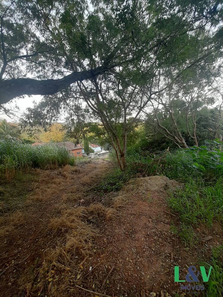 Terreno, 1150 m² - Foto 6