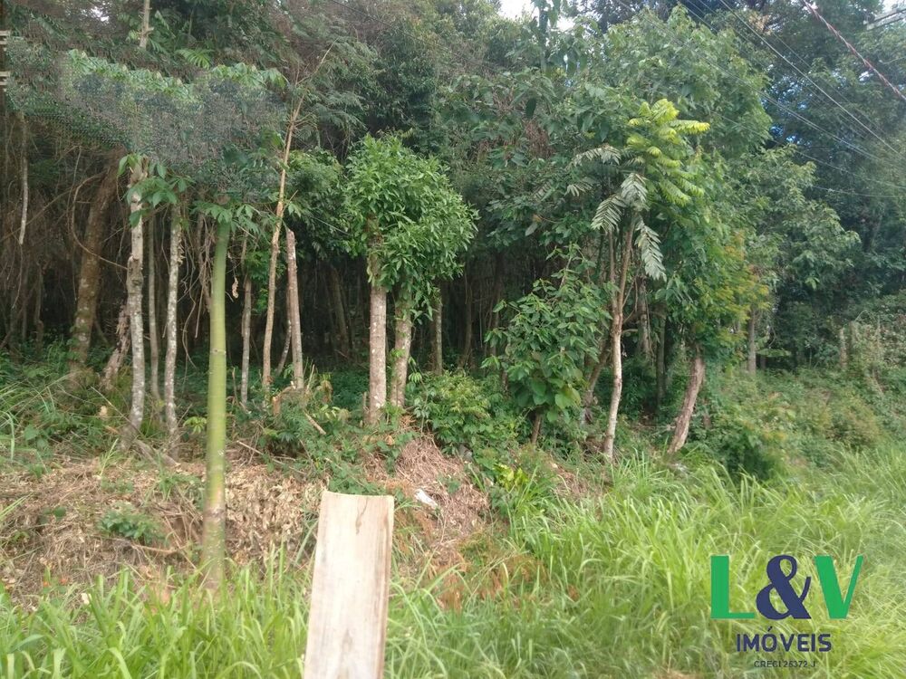 Terreno, 1000 m² - Foto 4