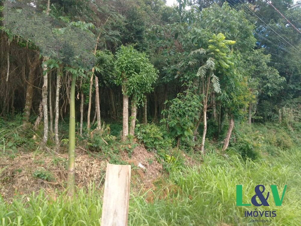 Terreno, 1000 m² - Foto 1