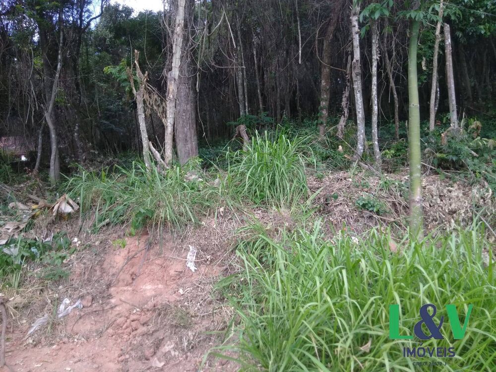 Terreno, 1000 m² - Foto 3