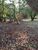 Terreno, 1400 m² - Foto 1