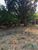 Terreno, 1400 m² - Foto 3