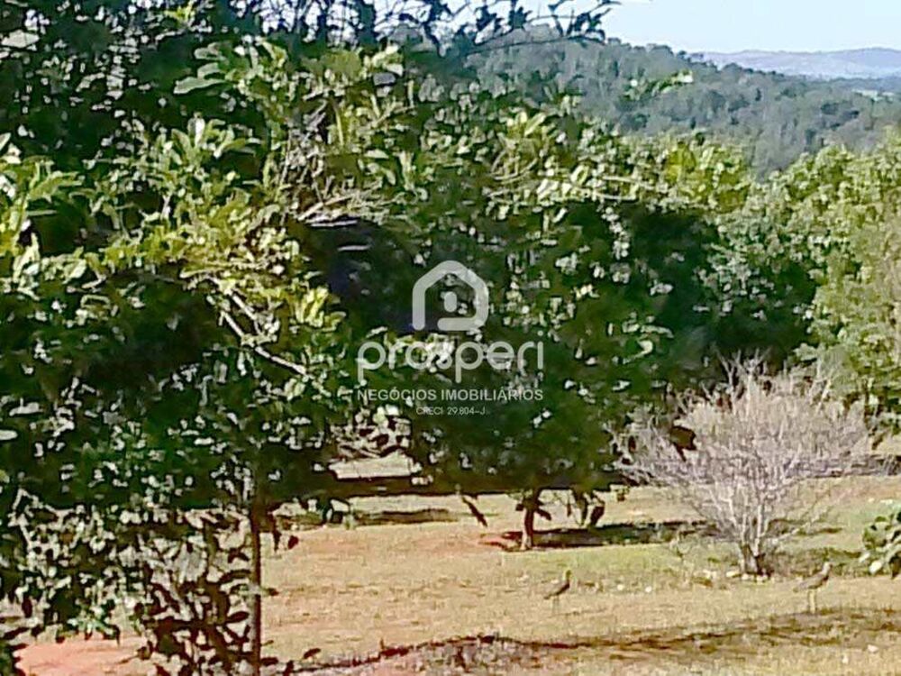 Chácara à venda com 3 quartos, 24343m² - Foto 6
