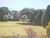 Chácara, 3 quartos, 2 hectares - Foto 4
