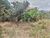 Terreno, 544 m² - Foto 4
