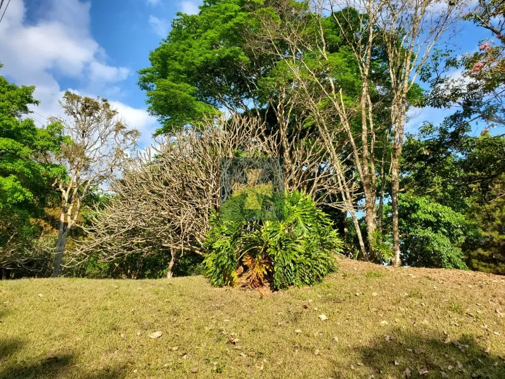 Sítio, 6 hectares - Foto 4