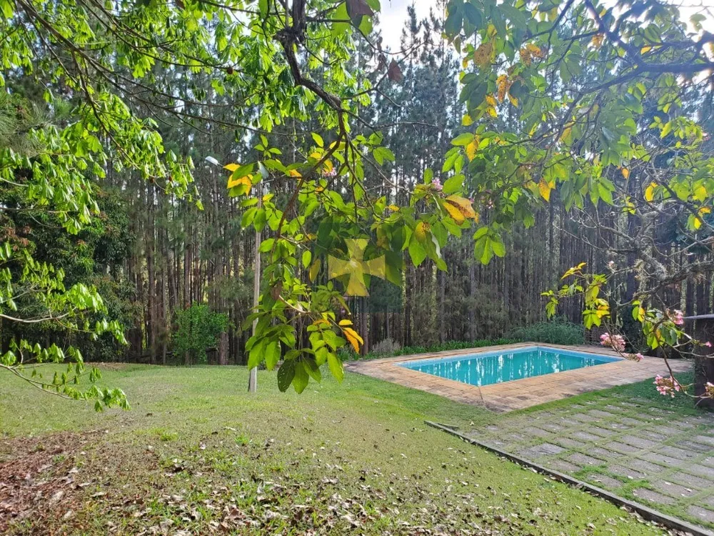 Sítio, 6 hectares - Foto 20