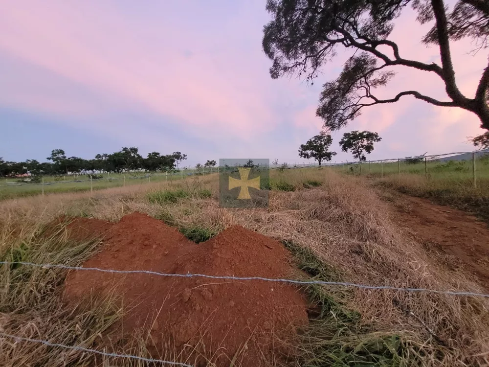 Terreno, 1950 m² - Foto 3