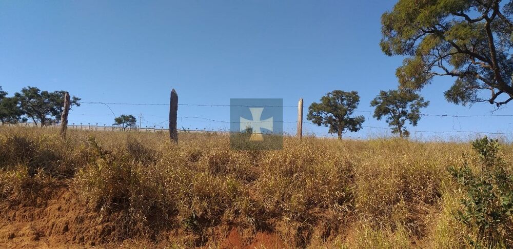 Terreno, 1950 m² - Foto 7