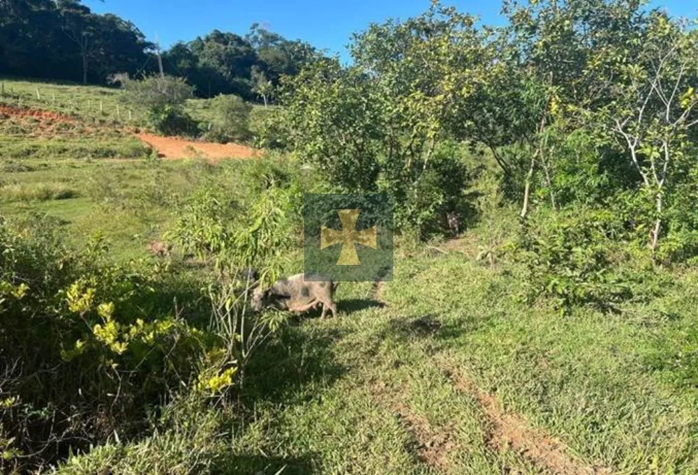Loteamento e Condomínio, 2 hectares - Foto 6