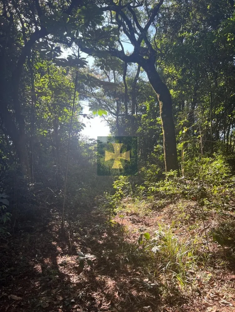 Loteamento e Condomínio, 2 hectares - Foto 9