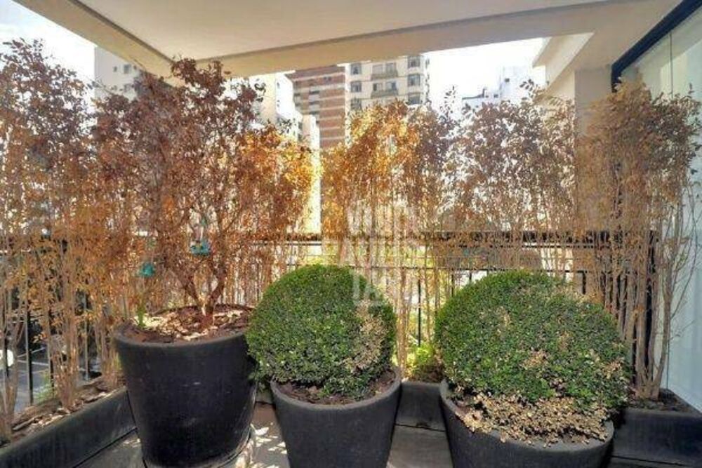 Apartamento, 2 quartos, 231 m² - Foto 11