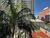 Apartamento, 3 quartos, 77 m² - Foto 7