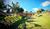 Terreno, 4 hectares - Foto 7