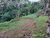 Terreno, 5042 m² - Foto 4