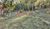 Terreno, 5042 m² - Foto 9