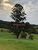 Terreno, 1196 m² - Foto 3