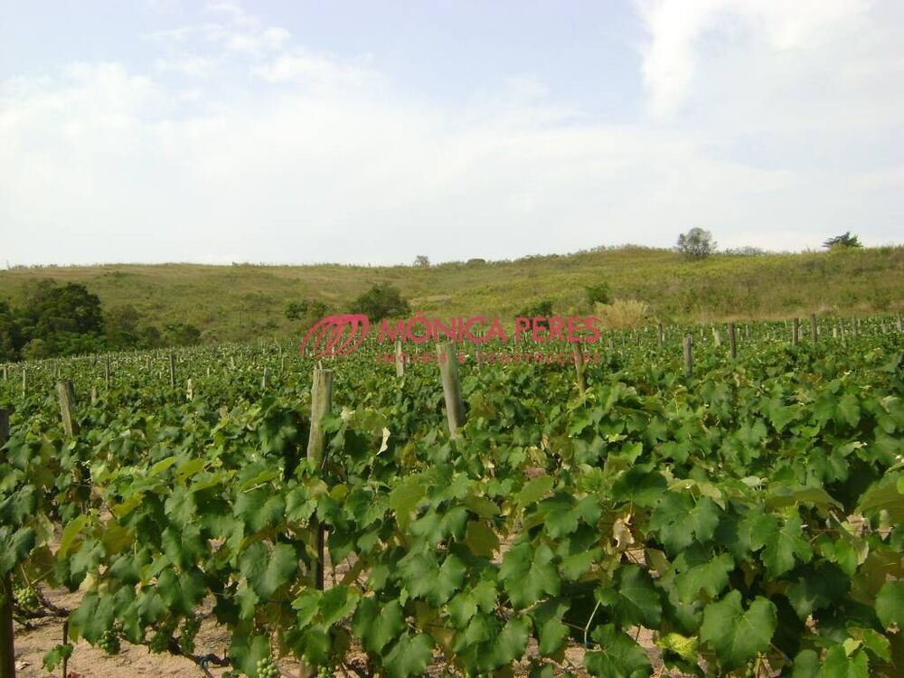 Terreno à venda, 4m² - Foto 4