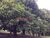 Terreno, 4 m² - Foto 13