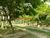 Terreno, 4 m² - Foto 7