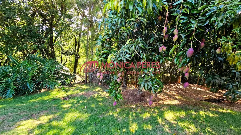 Casa, 4 quartos - Foto 5