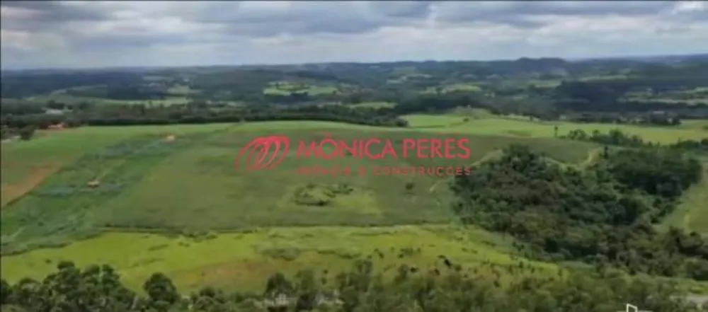 Terreno, 65 hectares - Foto 6