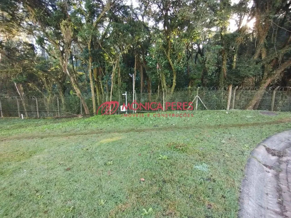 Terreno, 346 m² - Foto 3