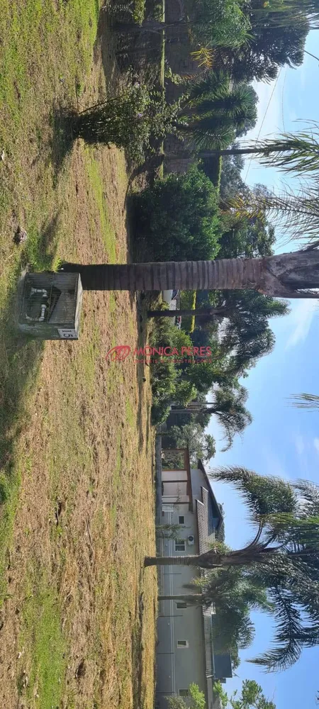 Terreno, 3540 m² - Foto 3