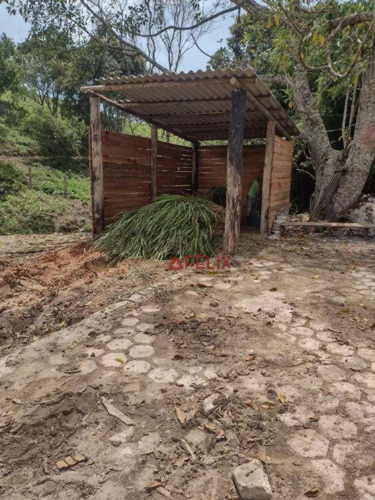 Fazenda, 140 hectares - Foto 3