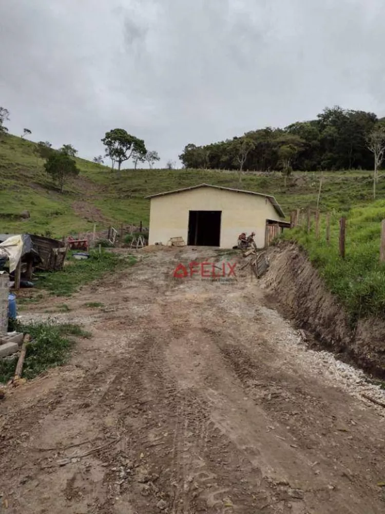 Fazenda, 140 hectares - Foto 7