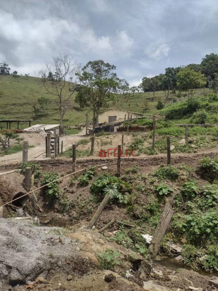 Fazenda, 140 hectares - Foto 4