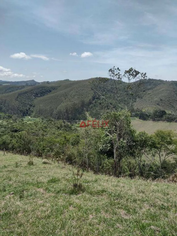 Fazenda, 140 hectares - Foto 12