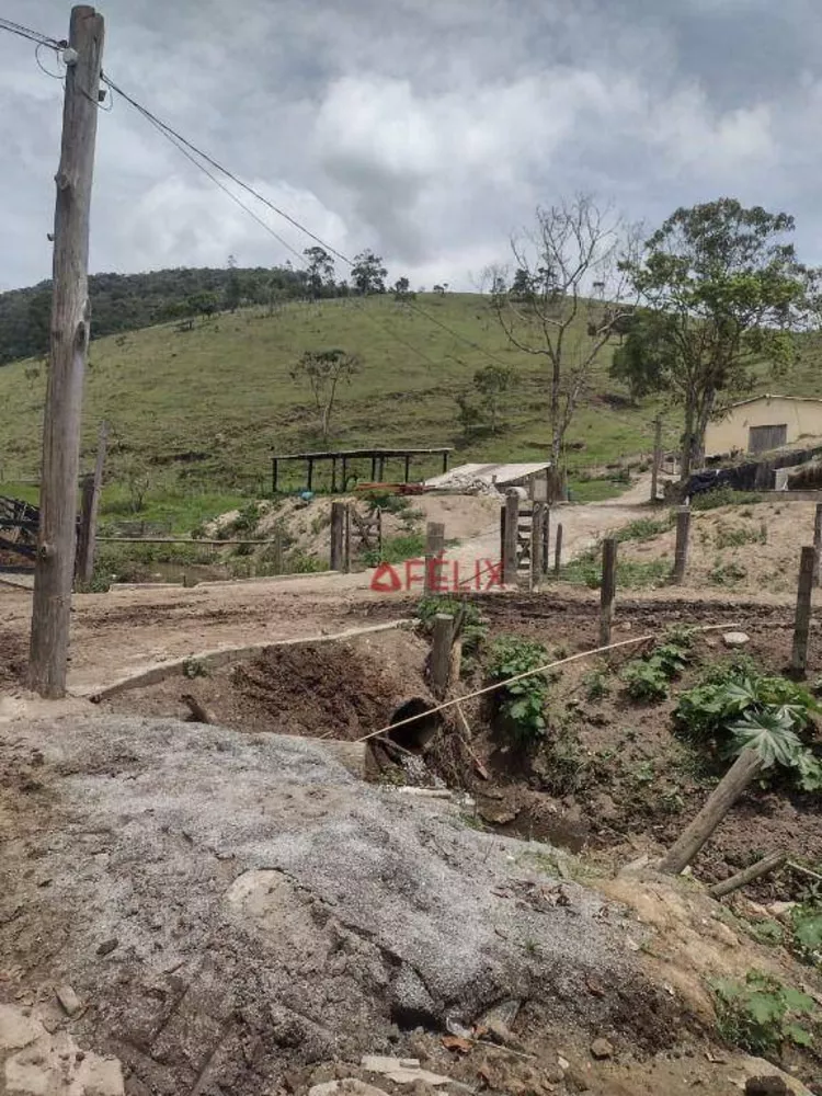 Fazenda, 140 hectares - Foto 8