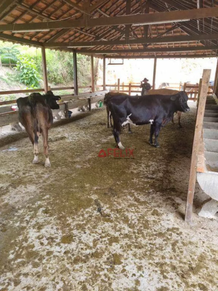 Fazenda, 140 hectares - Foto 13