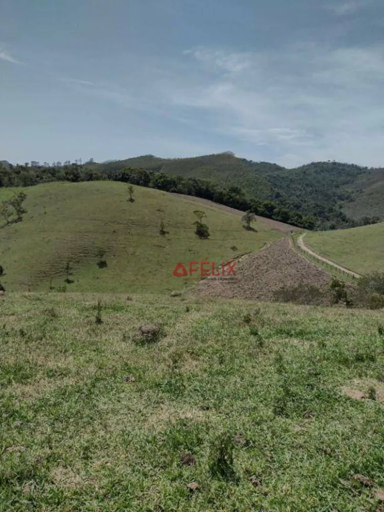 Fazenda, 140 hectares - Foto 9