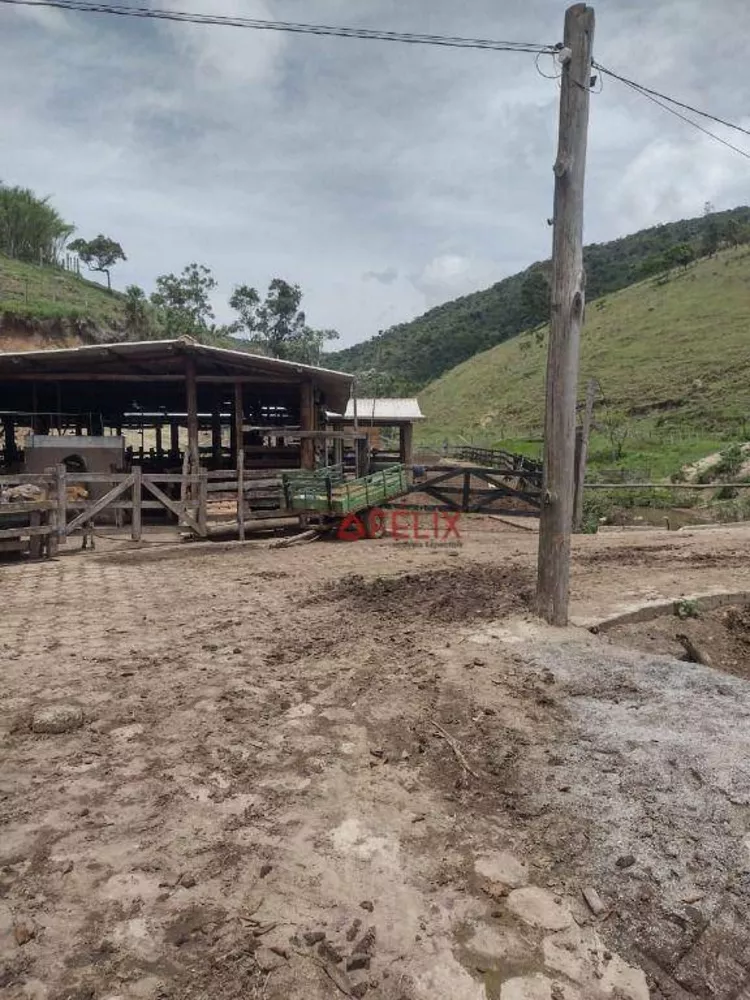Fazenda, 140 hectares - Foto 6