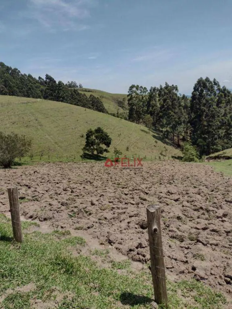 Fazenda, 140 hectares - Foto 14