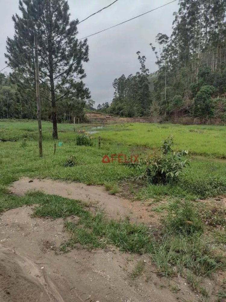 Fazenda, 140 hectares - Foto 11