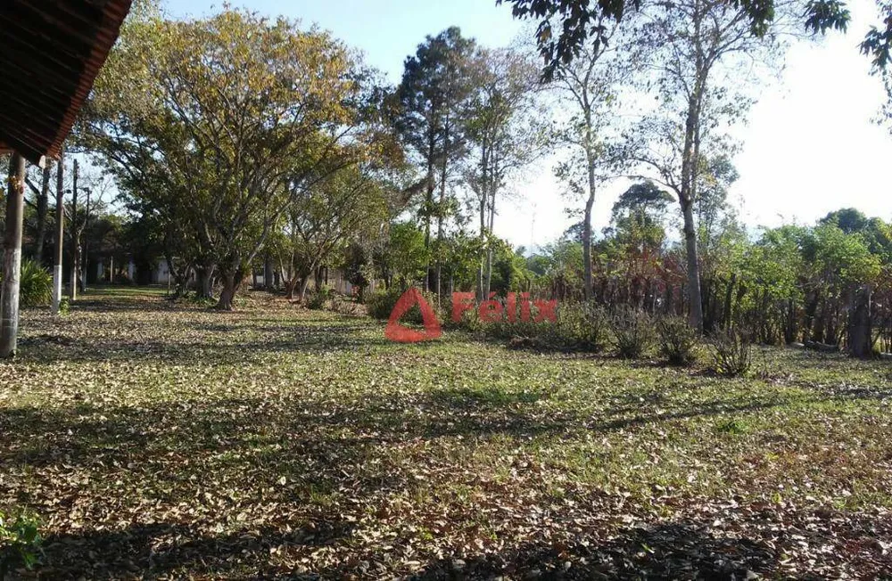 Terreno, 4 hectares - Foto 1