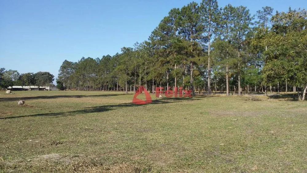Terreno, 4 hectares - Foto 6
