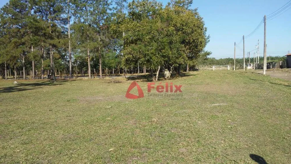Terreno, 4 hectares - Foto 3
