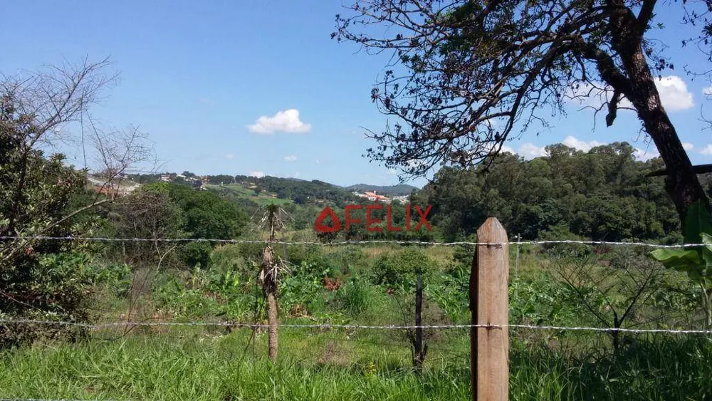 Terreno, 2 hectares - Foto 4
