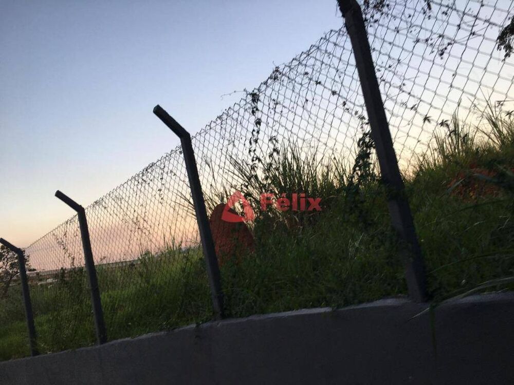 Terreno, 6385 m² - Foto 2