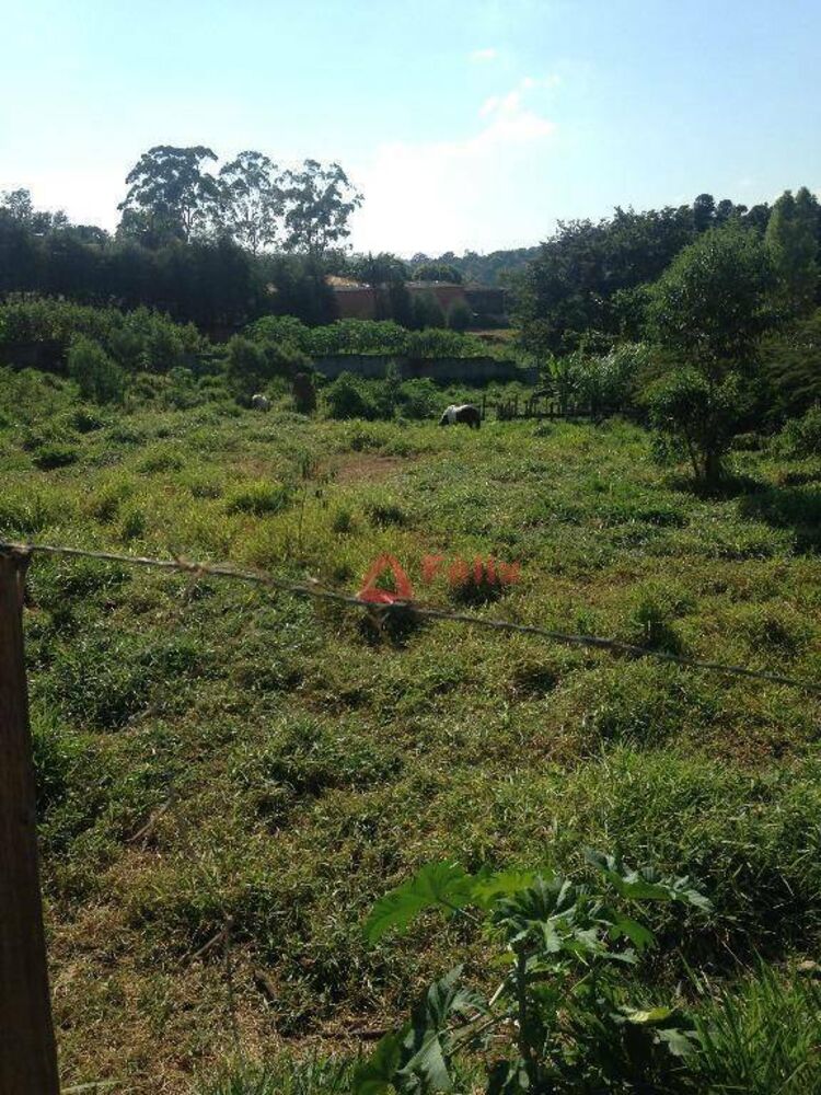 Terreno, 2189 m² - Foto 3