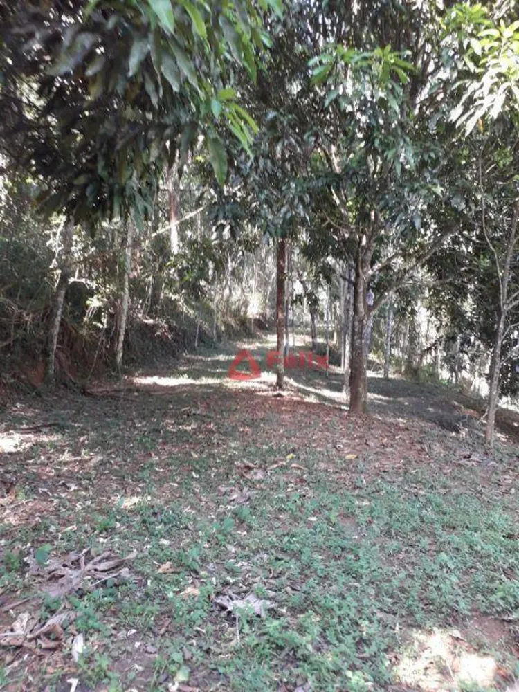 Sítio, 2 quartos, 7 hectares - Foto 12
