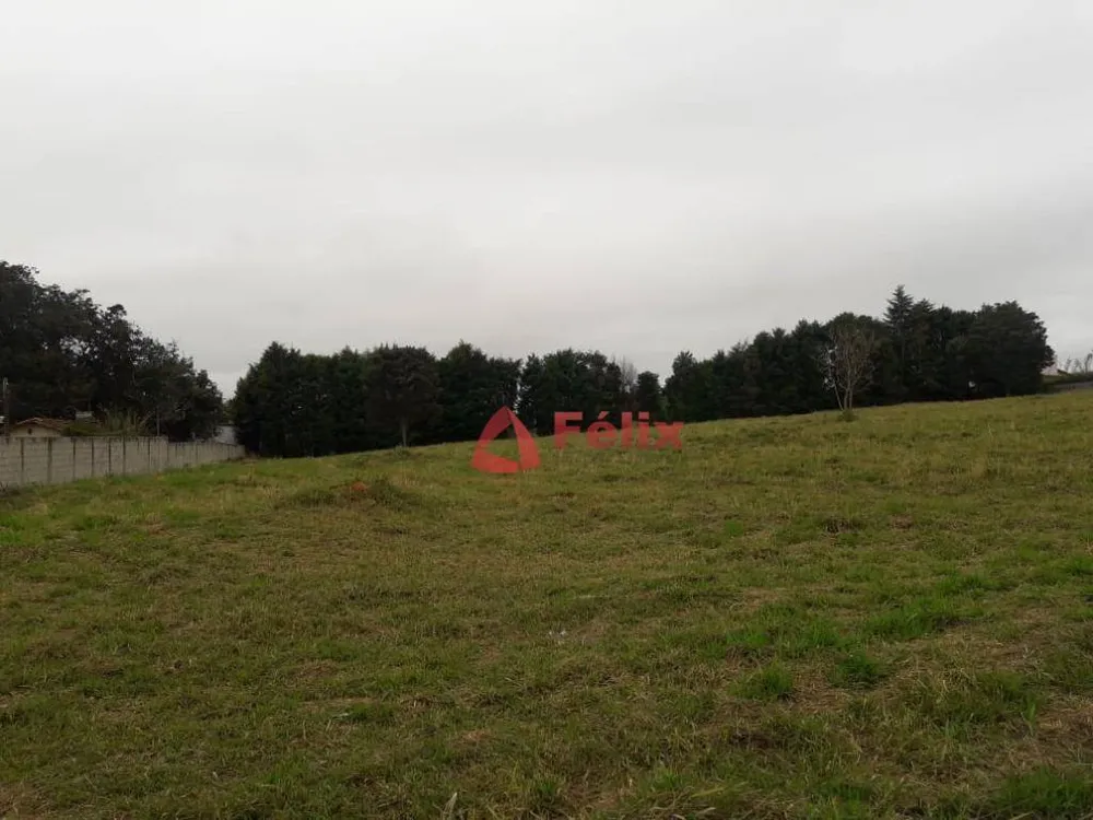Loteamento e Condomínio, 5000 m² - Foto 5