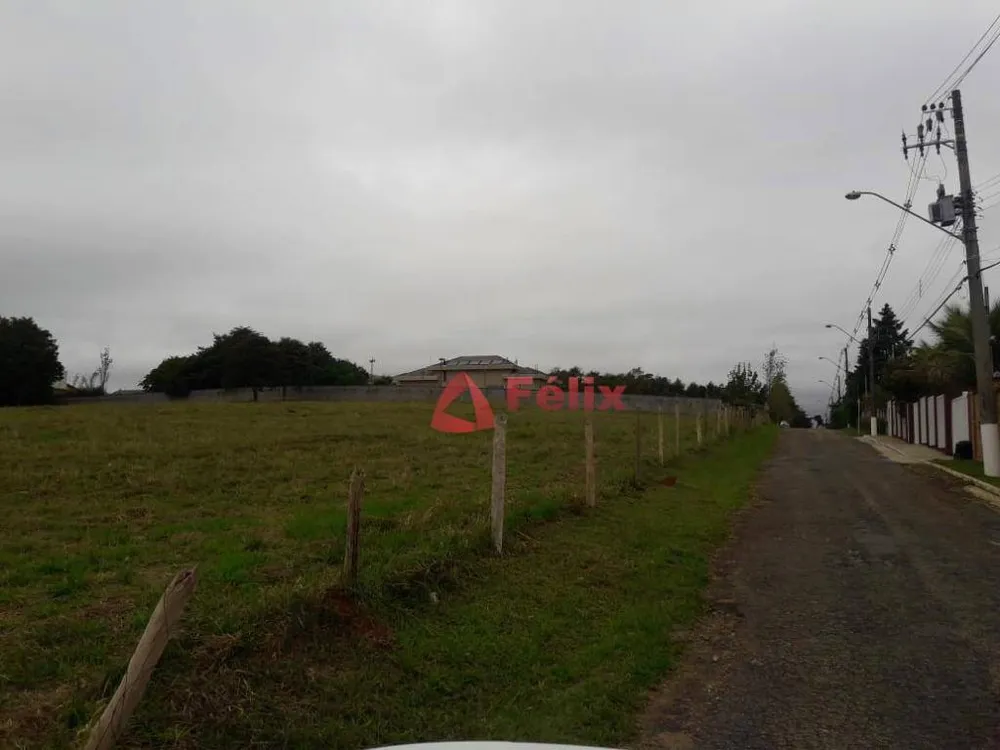 Loteamento e Condomínio, 5000 m² - Foto 3