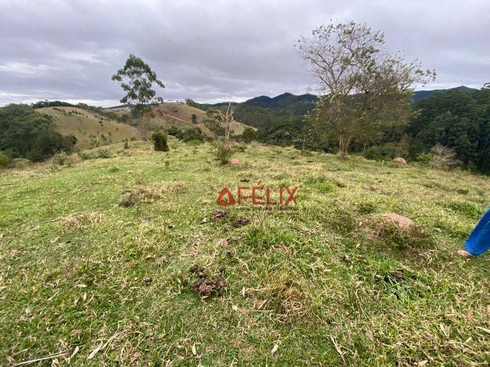Terreno, 10 hectares - Foto 6